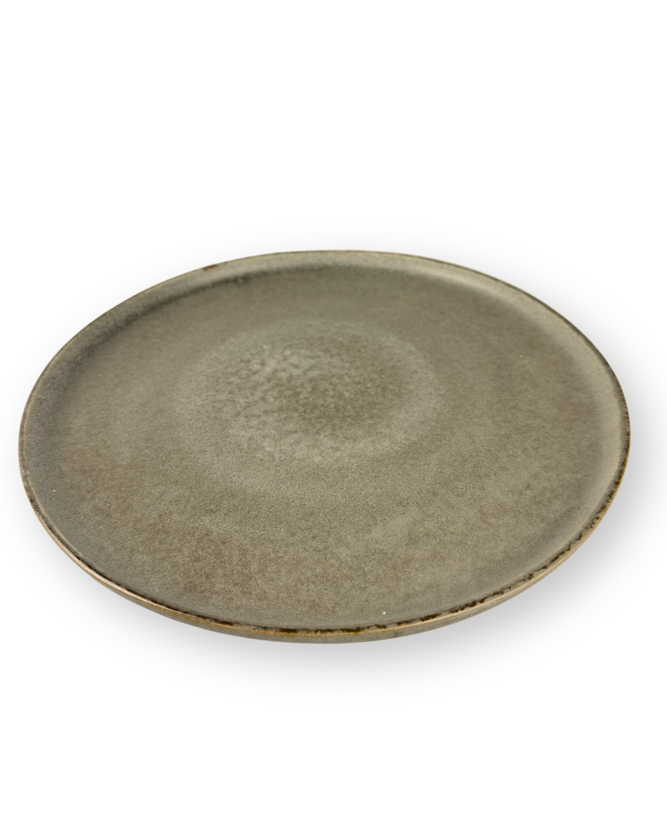 Plato Disco 10.8 Pulgadas Colores Mate — imagen 4