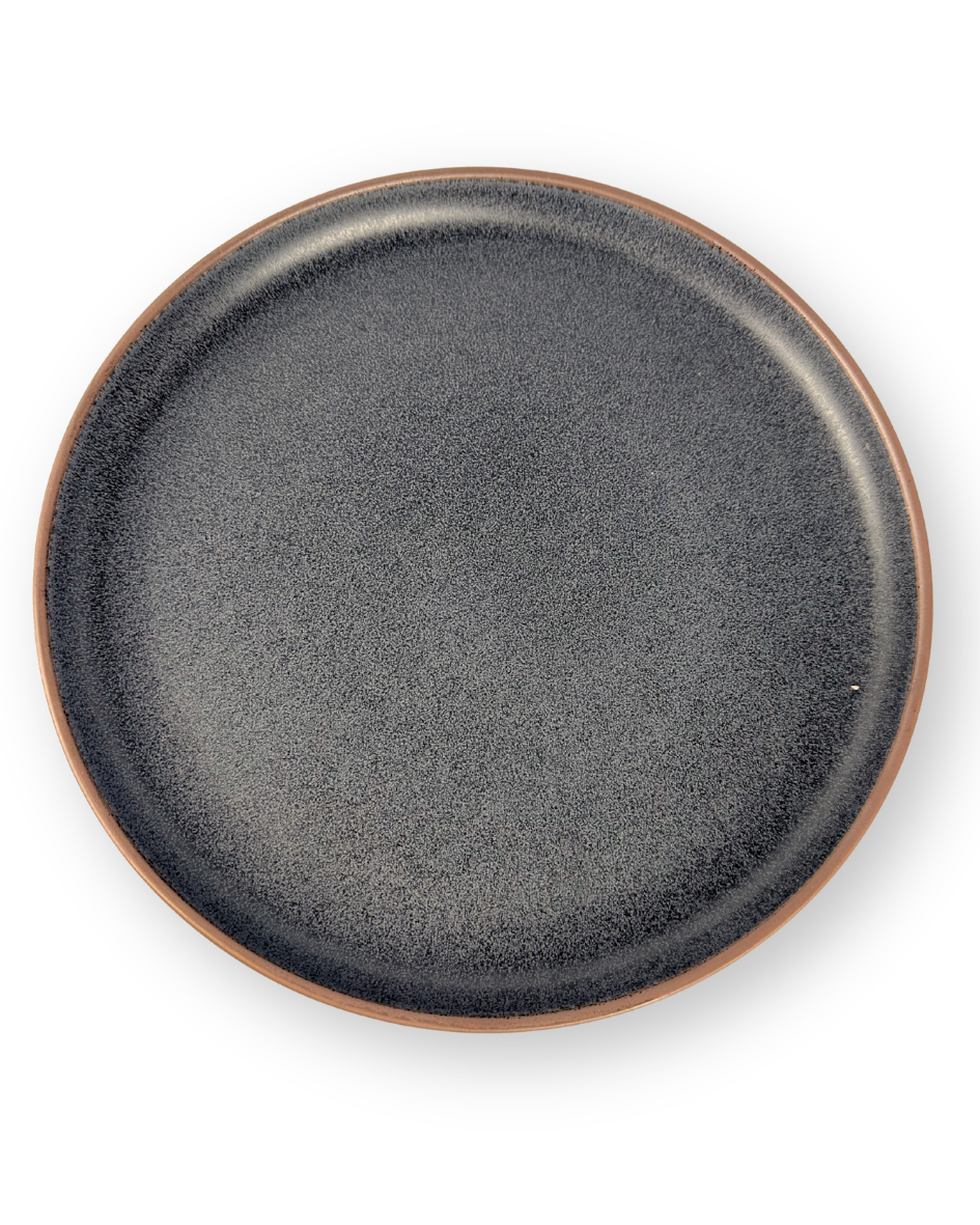 Plato Disco 10.8 Pulgadas Colores Mate — imagen 7