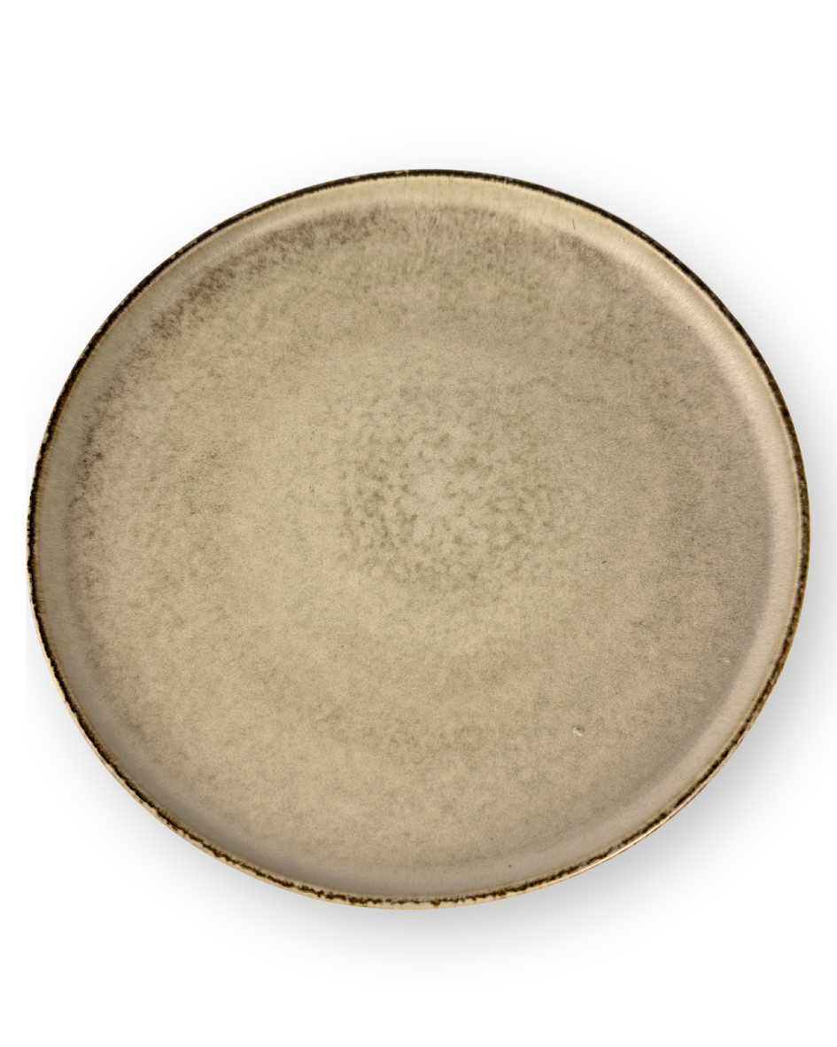 Plato Disco 10.8 Pulgadas Colores Mate
