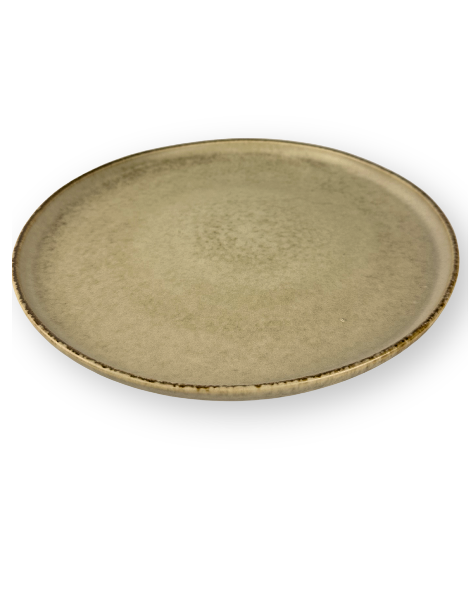 Plato Disco 10.8 Pulgadas Colores Mate — imagen 2
