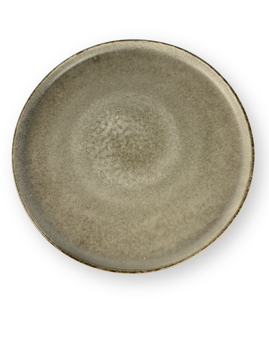 Plato Disco 10.8 Pulgadas Colores Mate — imagen 3