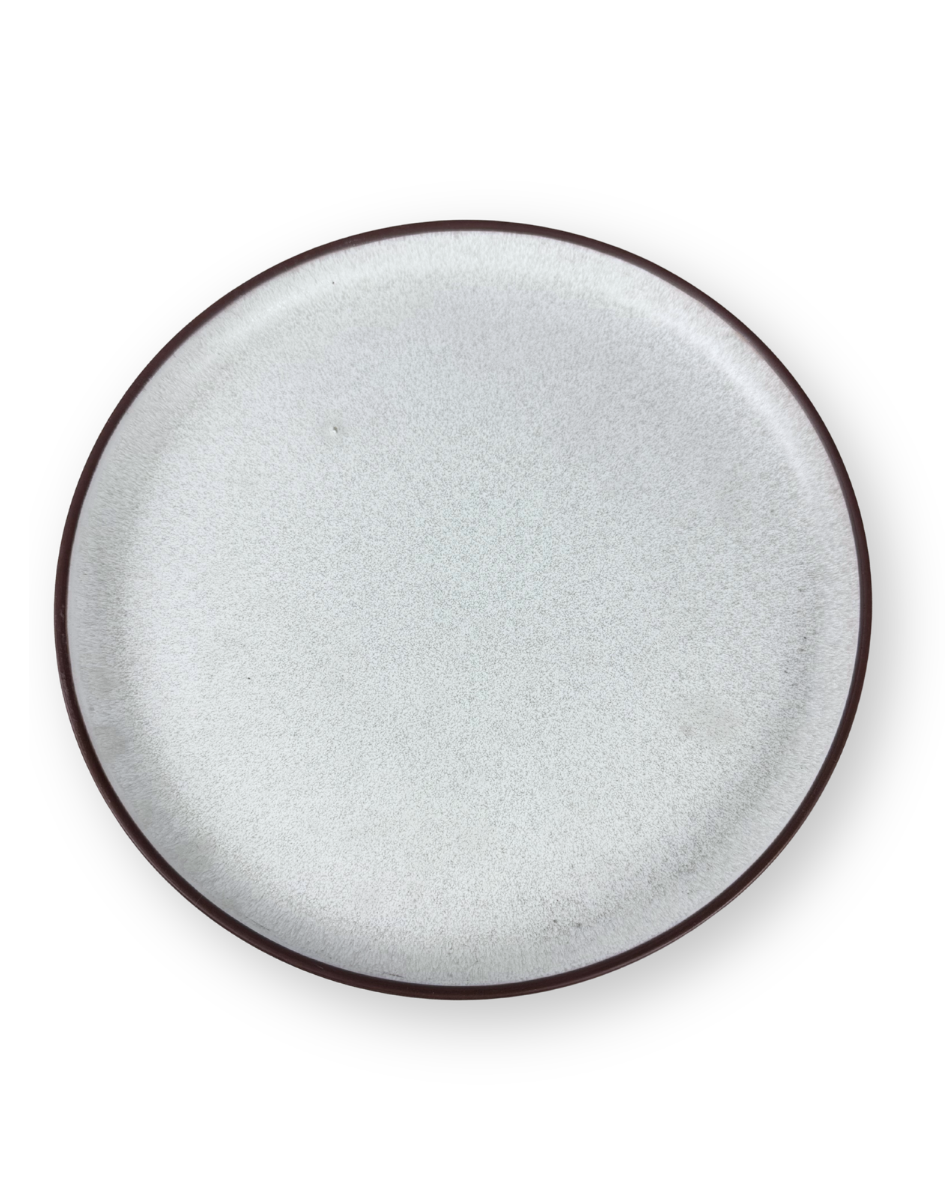 Plato Disco 10.8 Pulgadas Colores Mate — imagen 5