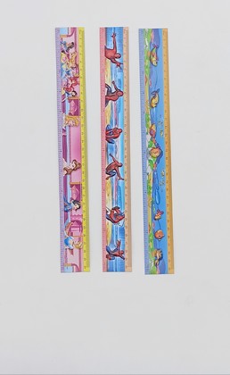 8801-3D Regla